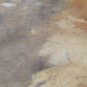 Drum Head, Horse Rawhide Skin Leather, Shamanic, Djembe, Bongo, Conga, Bodhran
