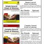 Assets & Liabilities Worksheet - Ebook ( PDF )