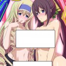 IS 79 Infinite Stratos Color Hentai Doujinshi