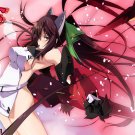 IS 80 Infinte Stratos Hentai Doujinshi