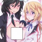 IS 88 Infinite Stratos Hentai Doujinshi