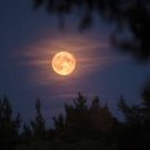Lilith's Full Moon Love spell