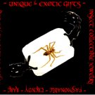 COLLECTIBLE REAL INSECT JEWELRY SPIDER BRACELET ECIC-NB3003