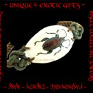 COLLECTIBLE REAL INSECT JEWELRY EXTREMELY RARE METALLIC BEETLE BRACELET ECIC-NB3108
