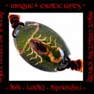 COLLECTIBLE REAL INSECT JEWELRY GREEN COLORED SAND SCORPION BRACELET ECIC-SB2101