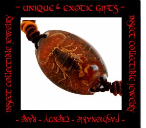 COLLECTIBLE REAL INSECT JEWELRY ORANGE COLORED SAND SCORPION BRACELET ECIC-SB2103
