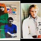 Poor Cow Movie Poster 1967, + Terence Stamp, Signed Autograph Photo