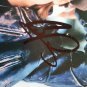 Brad Pitt, Autograph, Signed in Person