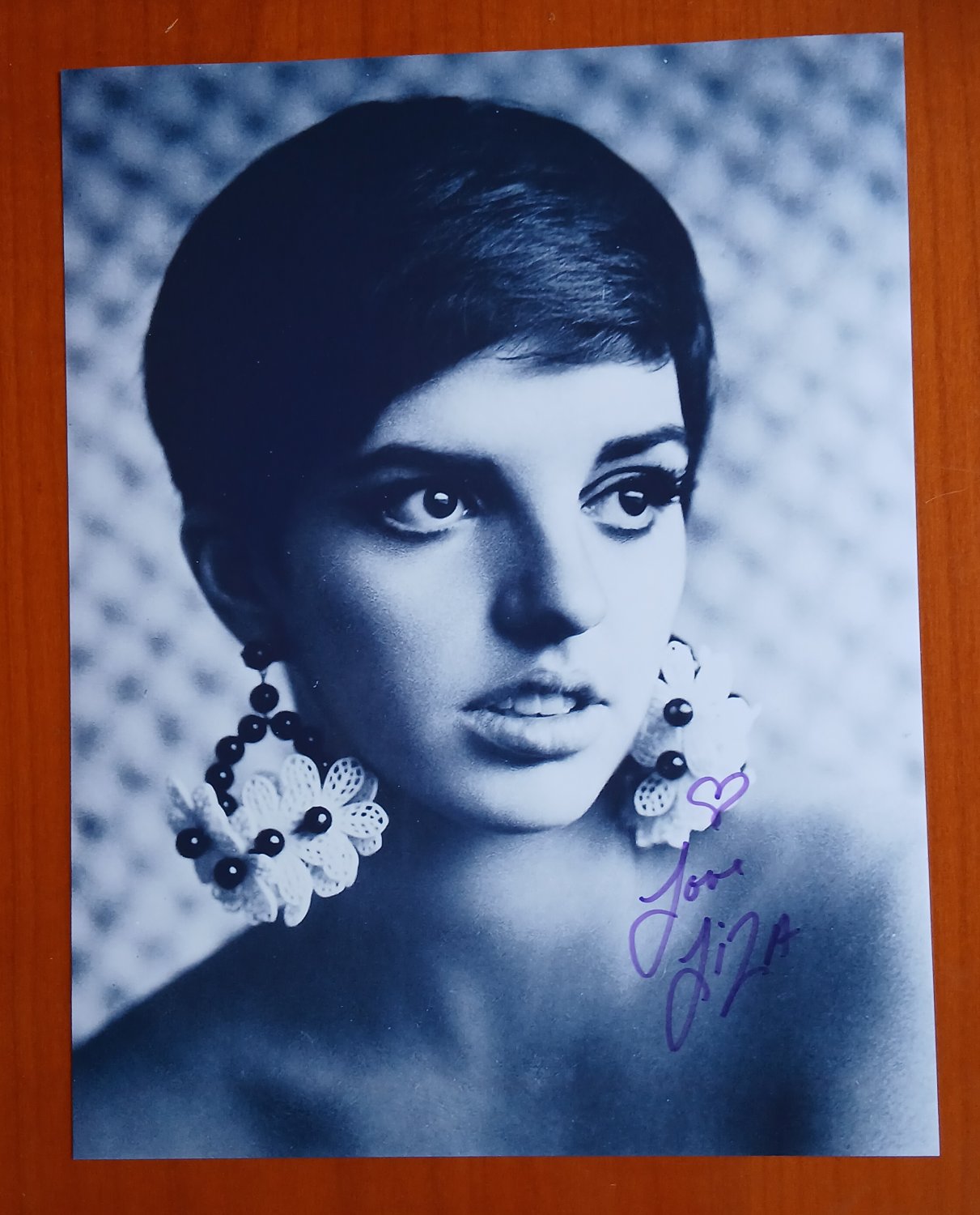 Liza Minelli, Cabaret, Signed Autographed 11x8 Photo