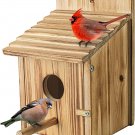 Wood Bird Houses for Outside