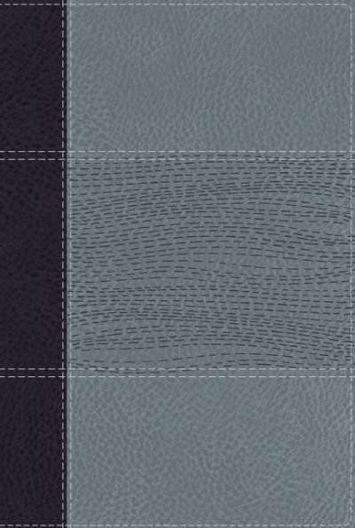 NIV Study Bible, Fully Revised Edition, Personal Size, Leathersoft, Navy/Blue, Red Letter, Thumb In