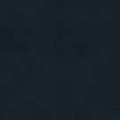 ESV Study Bible (TruTone, Navy)