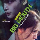Big Mouth 黑话律师 Korean TV Drama Series DVD Subtitle English Chinese Malay Region All