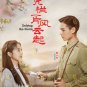 Defying the Storm HD Recording China TV Drama DVD Subtitle English Chinese Region All