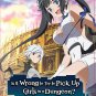 Is It Wrong to Try to Pick Up Girls in a Dungeon Season 1-4 Japanese Cartoon Anime DVD Region All