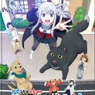 Kawaisugi Crisis Japanese Cartoon Anime DVD Subtitle English Chinese Region All Free Ship