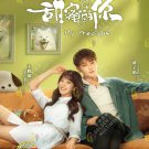 My Precious HD Recording China TV Drama DVD Sub English Chinese Region All Free Ship