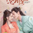 Pretty Guardian of the City HD Recording China TV Drama DVD Subtitle English Chinese Region 0