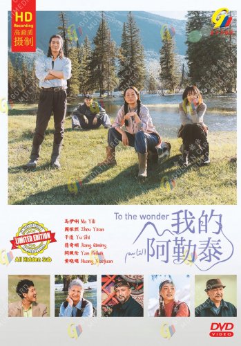 To the Wonder HD Recording China TV Drama DVD Subtitle English Chinese Region All Free Ship