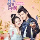 The Substitute Princess's Love HD Recording China TV Drama DVD Subtitle English Chinese Reg 0 The Substitute Princess's Love HD Recording China TV Drama DVD Subtitle English Chinese Reg 0