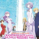 Kanpekisugite Kawaige ga Nai to Konyaku Haki Vol.1-12 End Japanese Anime DVD Sub Eng Reg 0 Free Ship
