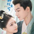 The Rise of Ning HD Recording China TV Drama DVD Subtitle English Region All Free Ship