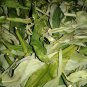 Dried Leaf Pothos scandens L. Climbing Aroid Araceae Wounds ulcers - 100g- 2kg