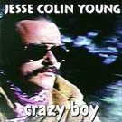 Crazy Boy by Jesse Colin Young (CD, Apr-1995, Ridgetop)