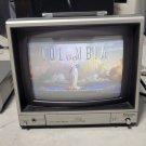 PANASONIC CT-110MA COLOR VIDEO MONITOR, 120V .8A