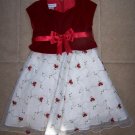 Gorgeous Toddler Girls BONNIE JEAN Rose Dress 2/2T