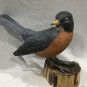 American robin. Bird carving