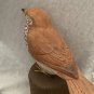 Wood thrush. Bird carving