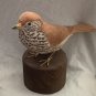 Wood thrush. Bird carving