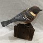 Bay-breasted warbler. Bird carving