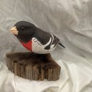 Full-size rose-breasted. Grosbeak. Bird carving