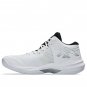ASICS Sky Elite FF MT 3 White White 1051A081-105
