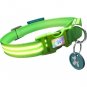 Squeaker - Poochlight Light Up Flashing Dog Collar (Large) - Green Gremlin