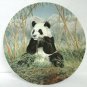 A Bamboo Feast Collector Plate by Joyce Bridgett