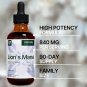 Lion's Mane 4 fl oz Liquid Extract - Natural Mushroom Drops