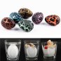 Hatching Growing Dinosaur