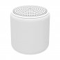 Speaker Wireless