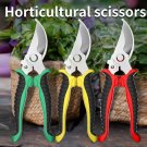 Bird Beak Shaped Horticultural Scissors, Branch Pruning