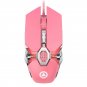 Ergonomic RGB Wired Gaming Mouse
