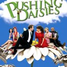 PUSHING DAISIES Poster * LEE PACE & ANNA FRIEL * ABC 4' x 6' Rare 2008 Mint