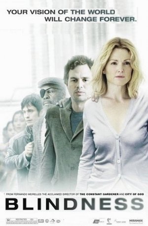 Fernando Meirelles BLINDNESS Movie Poster * JULIANNE MOORE & MARK RUFFALO * 4' x 6' Rare 2008 NEW