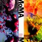 MOMA Original Art Exhibit Poster * PIPILOTTI RIST * 2' x 3' Rare 2008 Mint