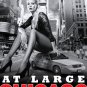 CHICAGO * At Large * Broadway Poster 14" x 22" Rare 2010 NEW