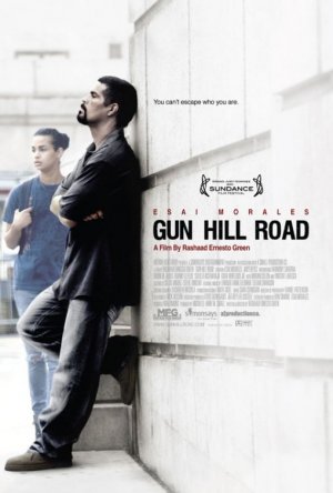 GUN HILL ROAD Original Movie Poster * Judy Reyes * 27" x 40" Rare 2011 Mint