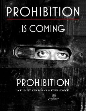 Ken Burns * PROHIBITION * Original Poster PBS 2 'x 3' Rare 2011 Mint