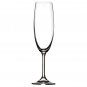 Champagne Flutes Bohemia Crystal Wine Glass SET(4-8oz)LARA New in Box
